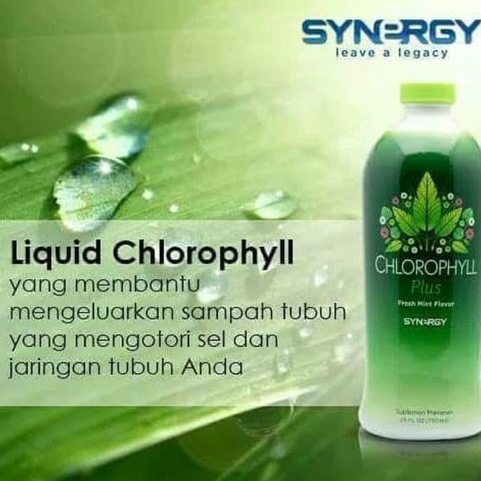 Barang Bagus Chlorophyll Detox Racun Dan Buang Lemak - Klorofil Synergy BARANG BAGUS