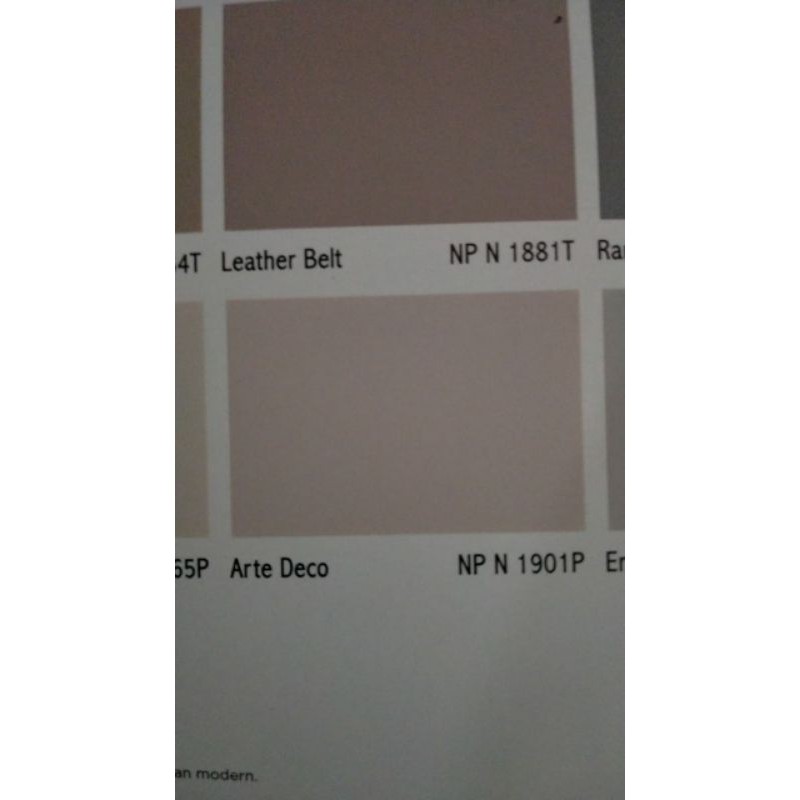 Cat Nippon Spotless Arte Deco 20 Liter / Nippon Spotless Pail