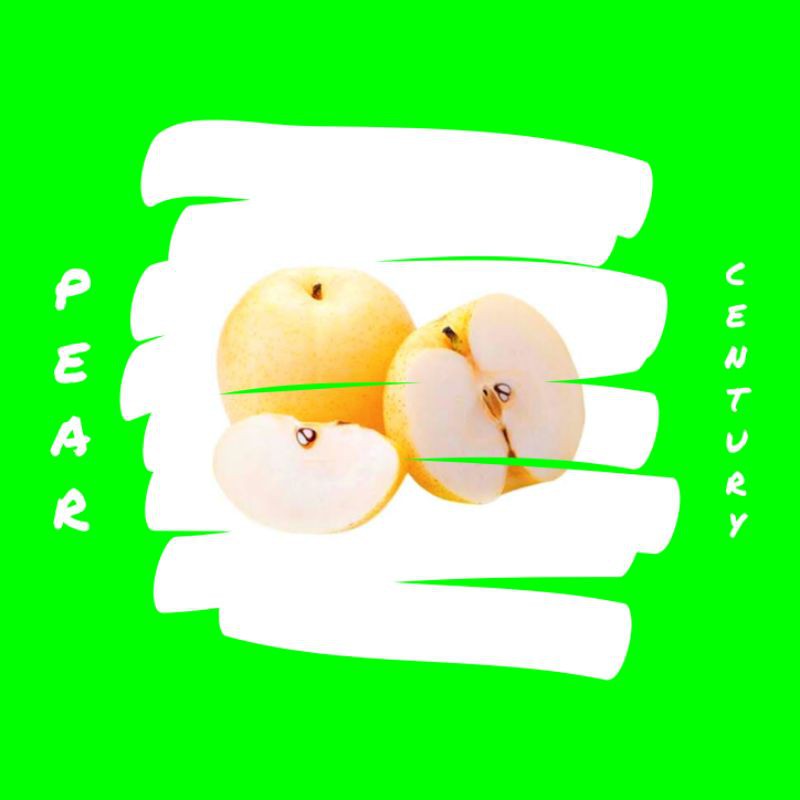 

pear century manis segar