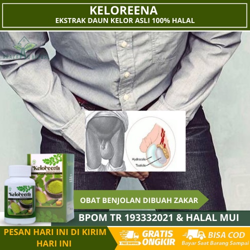 Obat Benjolan Di Buah Zakar, Menghilangkan Benjolan Di Buah Zakar, Benjolan Di Penis, Buah Zakar Ben