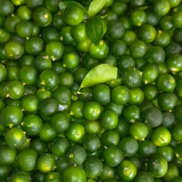 

Jeruk kunci cui kasturi sonkis limo 250 gr