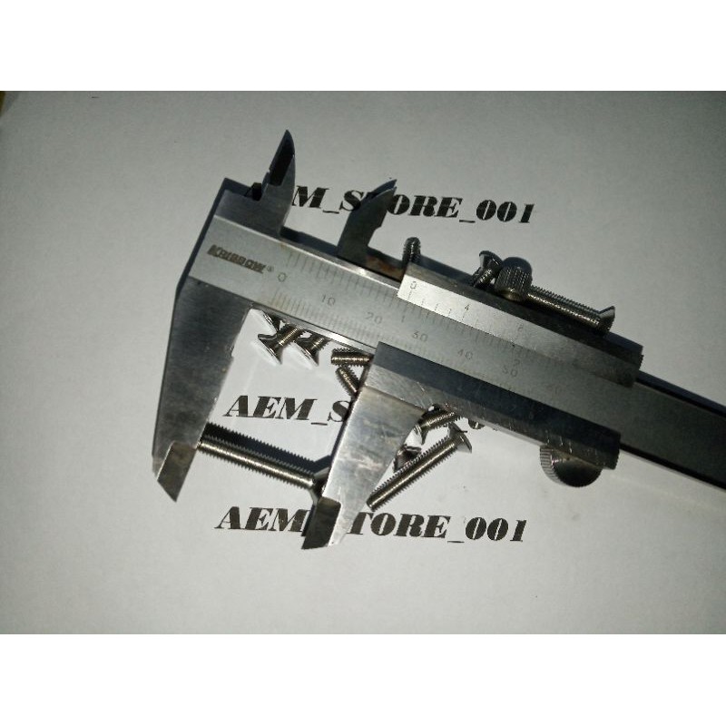 verseng L M4 x 25 (2.5cm) stainless 304