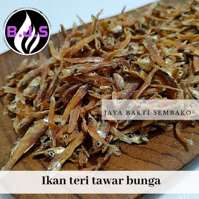

BIG SALE IKAN TERI TAWAR BUNGA 500 GRAM STOK TERBATAS