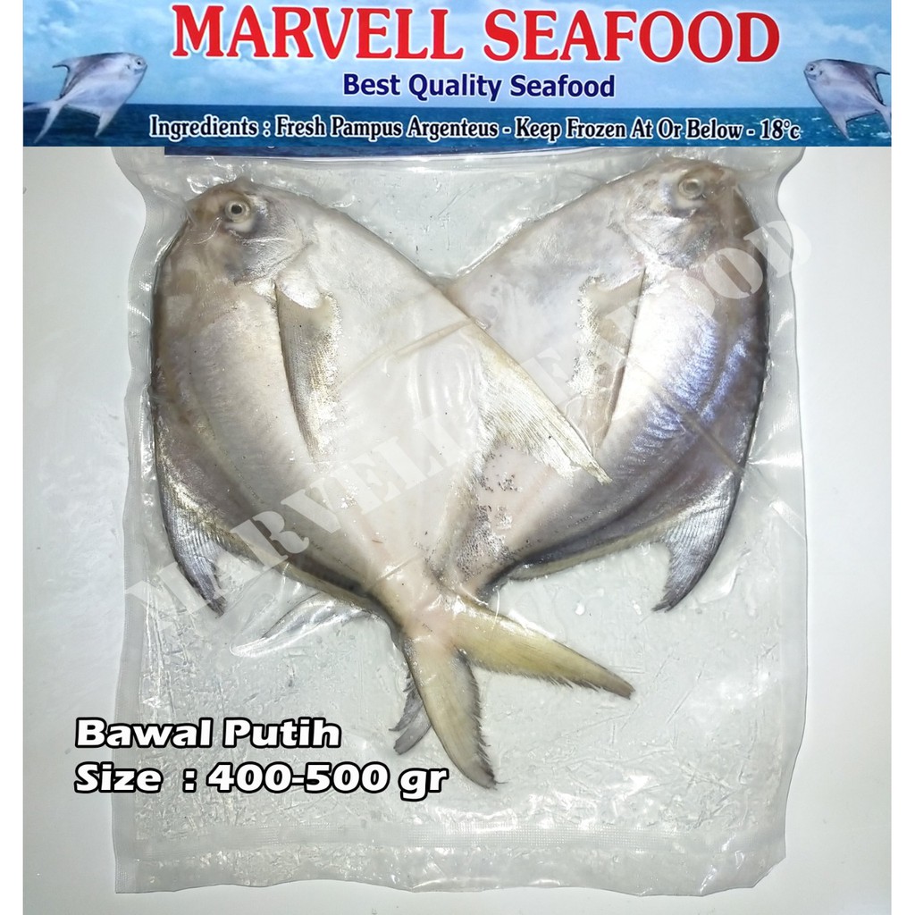 

IKAN BAWAL PUTIH FRESH/FROZEN SIZE 400/500gr 2pcs