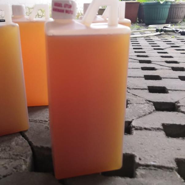 ☚ Organic enzyme bio enzyme enzim organik pupuk enzim bioenzyme ❋