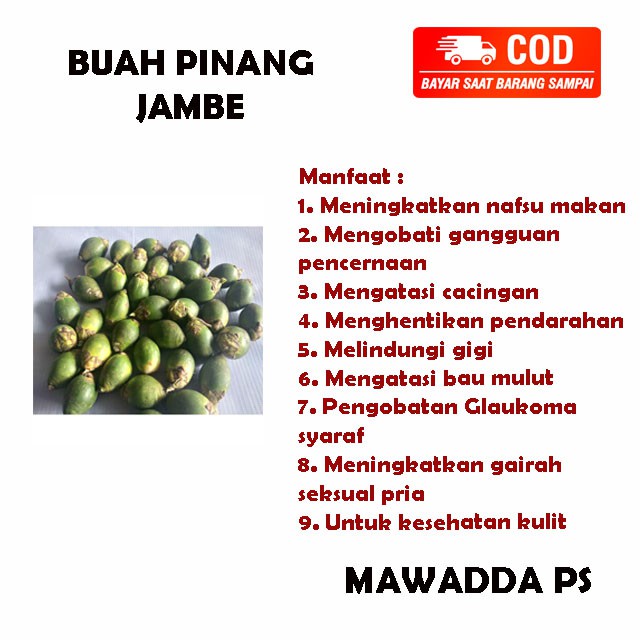 

Buah Pinang Jambe Segar Langsung Petik Dari Pohon - 500Gram