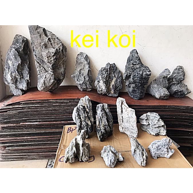 BATU SEIRYU IMPORT GRADE A - AQUASCAPE