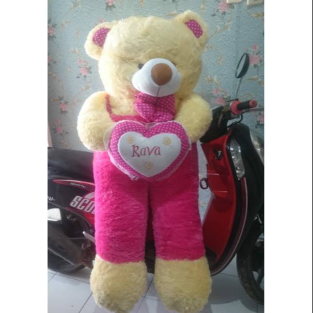 nama teddy bear