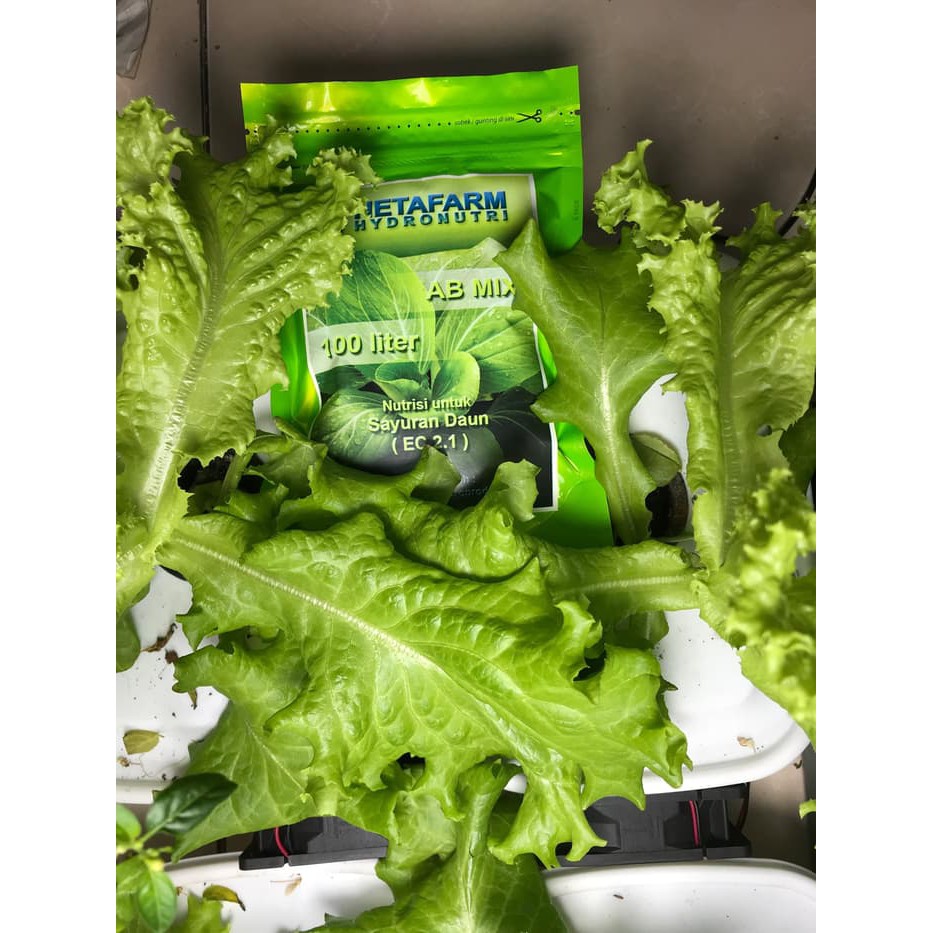 PAKET Hidroponik NFT set lengkap - NETAFARM NFT EASY1