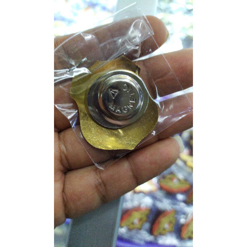 LENCANA PENYIDIK PPNS