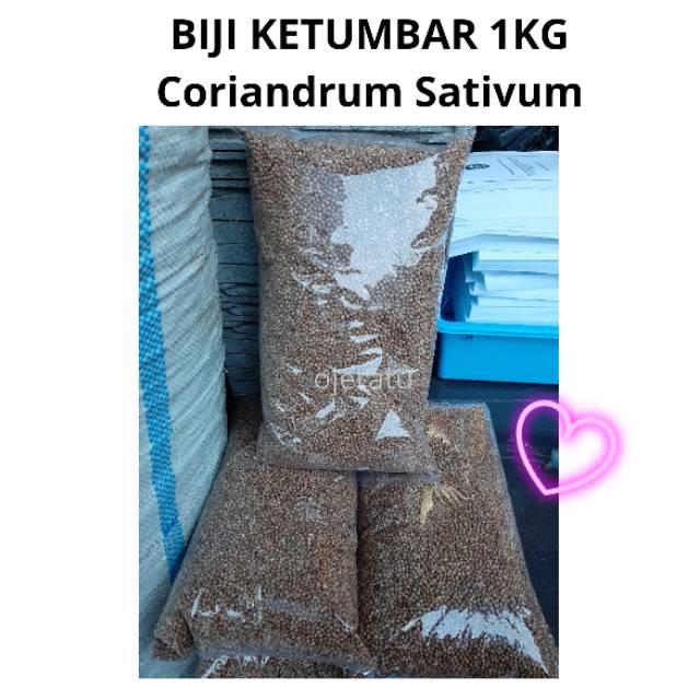 

BIJI KETUMBAR 1KG ASLI TANPA PEMUTIH
