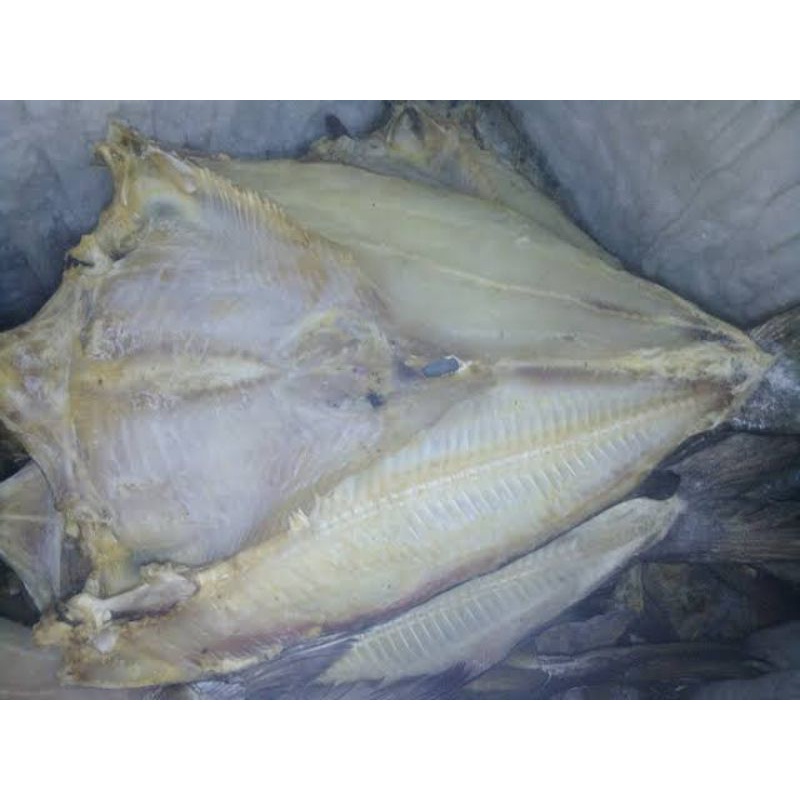 Ikan Asin Jambal Roti Asli Pangandaran / Asin Jambal