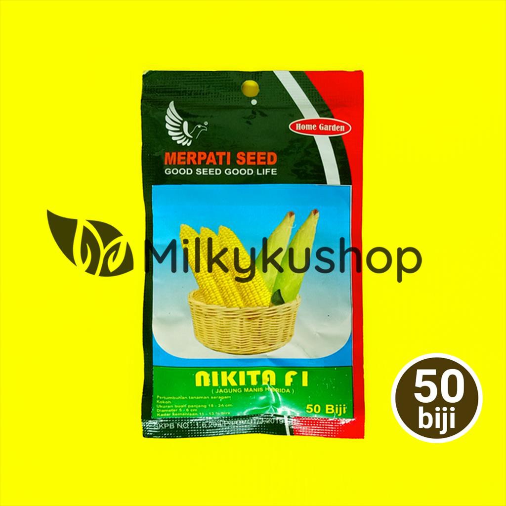 BENIH MERPATI SEED NIKITA F1 JAGUNG 50 BIJI SACHET KEMASAN PABRIK