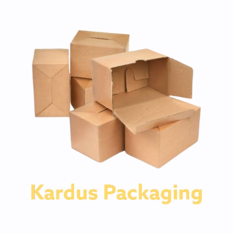 

Bubble Wrap/Kardus Packaging