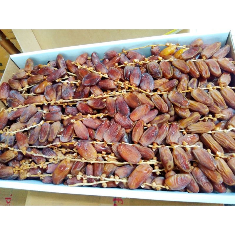

kurma tangkai Tunisia