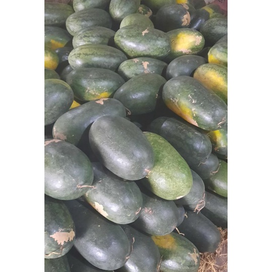 Semangka inul manis 1buah