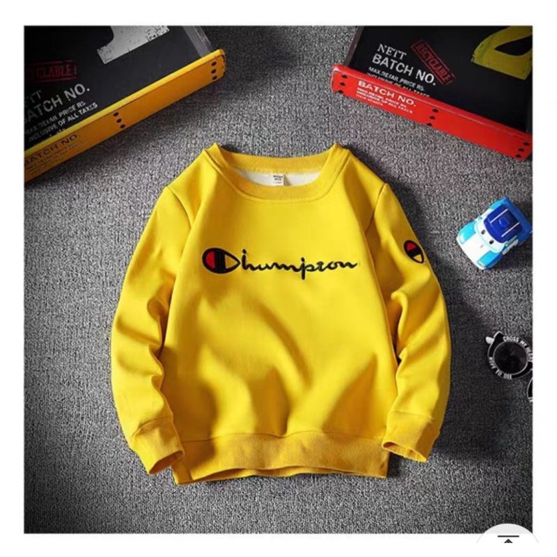 COD//DS//BAJU SWEATER HAMPION (M-L)