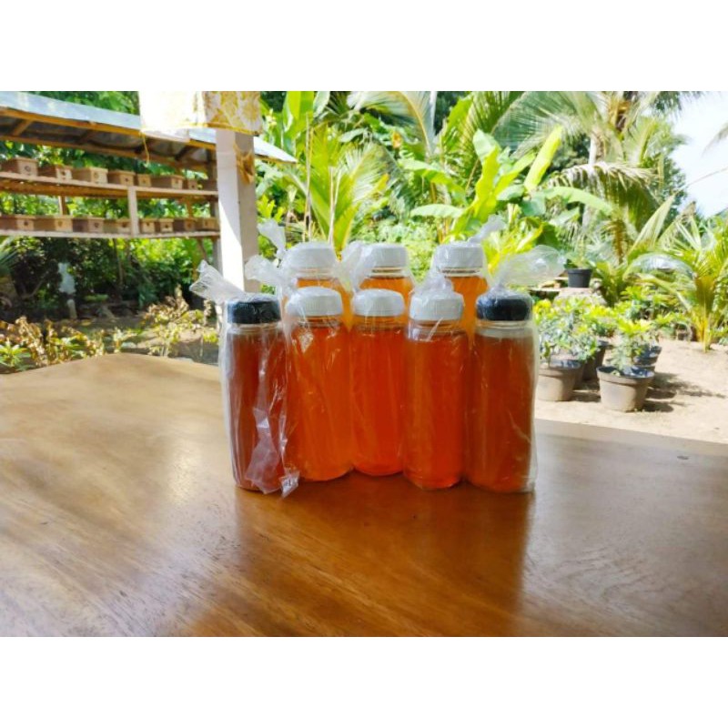 

Madu Murni Lebah Apis Dorsata dan Madu Kele kele/Klanceng tetragunola laeviceps