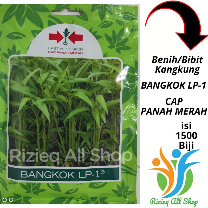 Jual Benih Kangkung BANGKOK LP 1 Isi 1500 Biji Bibit Kangkung Bangkok ...