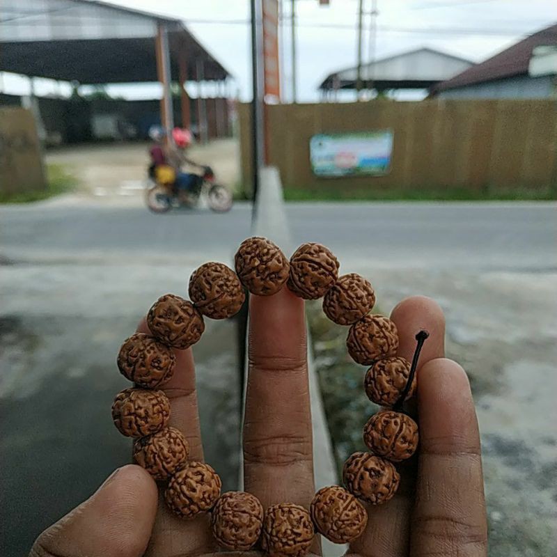 gelang jenitri rudraksha mukhi 5