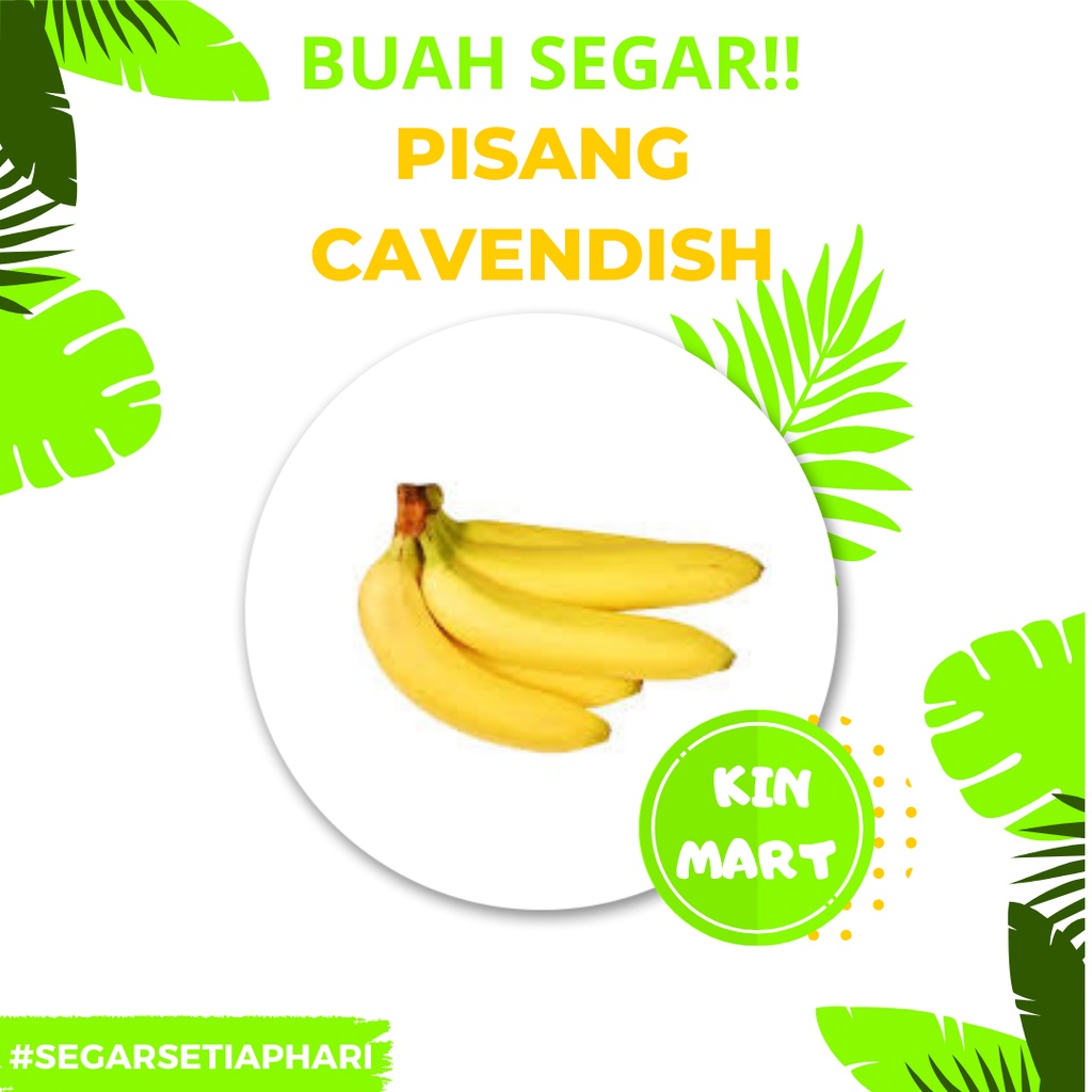 

Pisang Cavendish Manis | Pisang Cavendish Murah