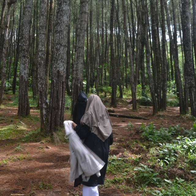 tiaraals__
