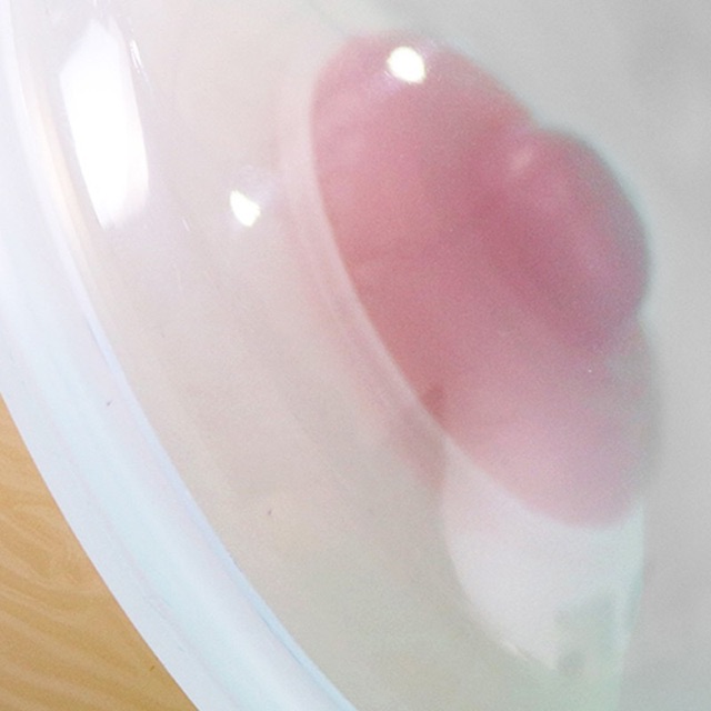 MOOIMOM Milk Collection Shell / Breast Shell (Penampung Asi)