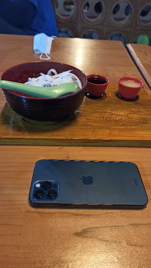 Atasan Batik Wanita Blouse Batik Dua Putri  S-m-l-xl-xxl-3l-4l-5l  Daun Kembar