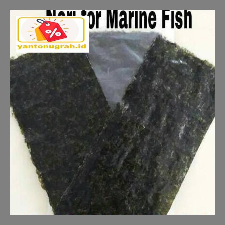 

S50Mkkar Nori - Marine Fish Food Dr05Ytd
