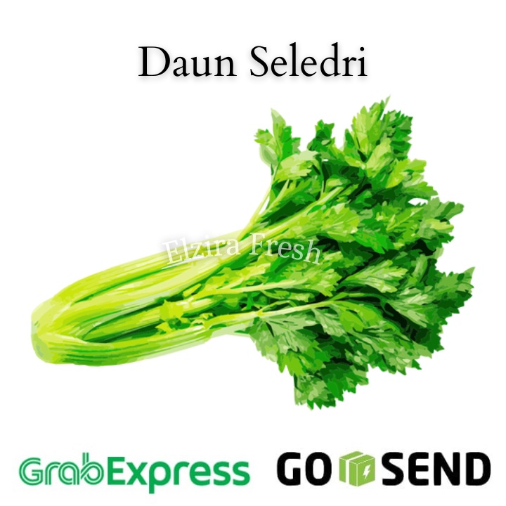 

Daun Seledri Segar 250 gr (Elzira Fresh)