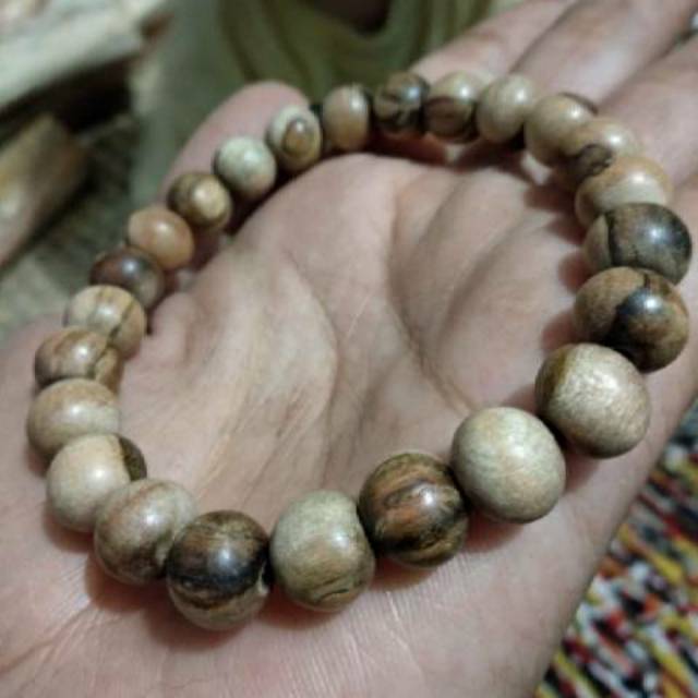 Gelang kayu Sulaiman