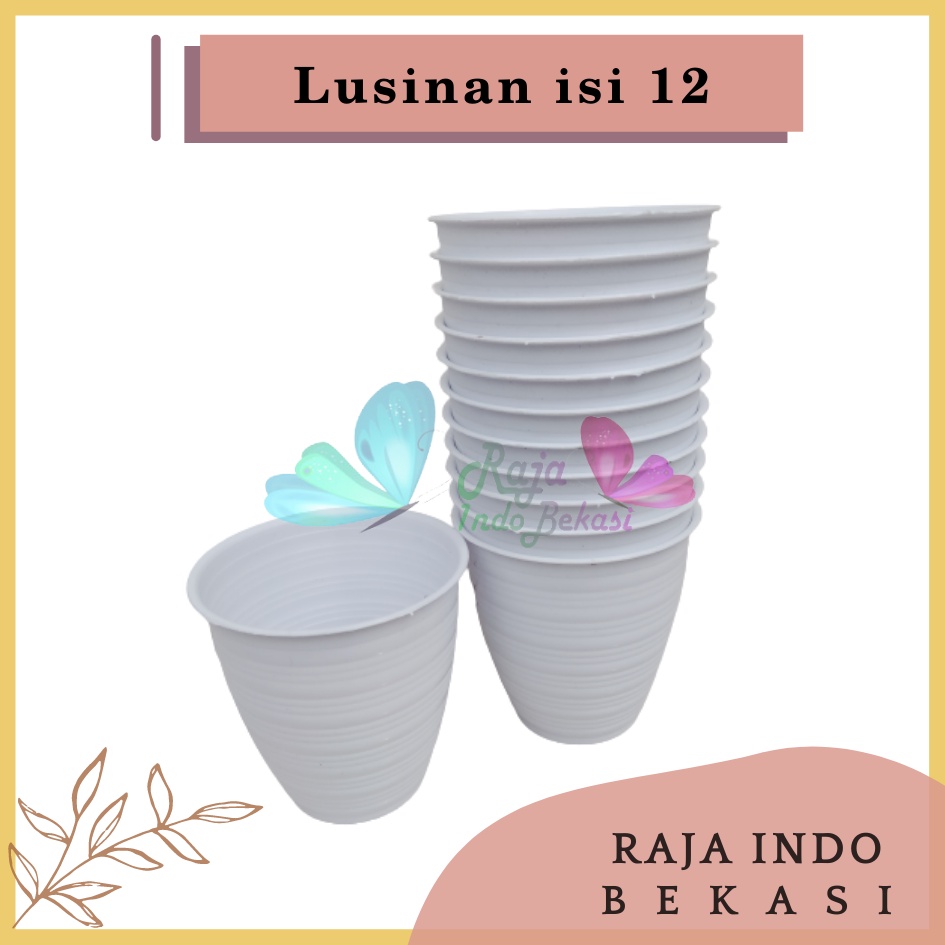 LUSINAN Pot Tawon Pirus 10 Putih Pot Tawon Tirus 10 Cm Grosir Pot Tinggi Putih Tanaman Lidah Mertua