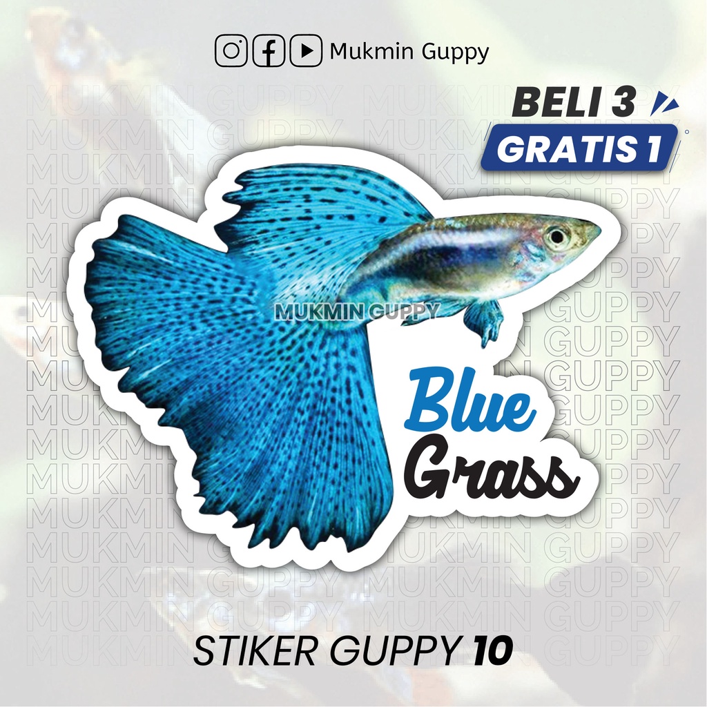 Stiker Guppy (10) Blue Grass