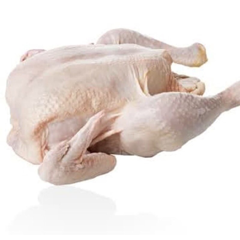 

Ayam kampung