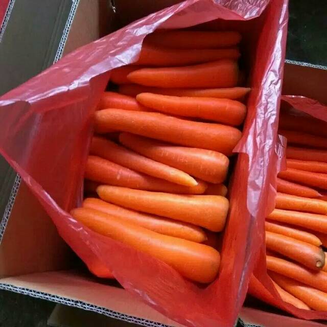 

Wortel import beras taji 500gr