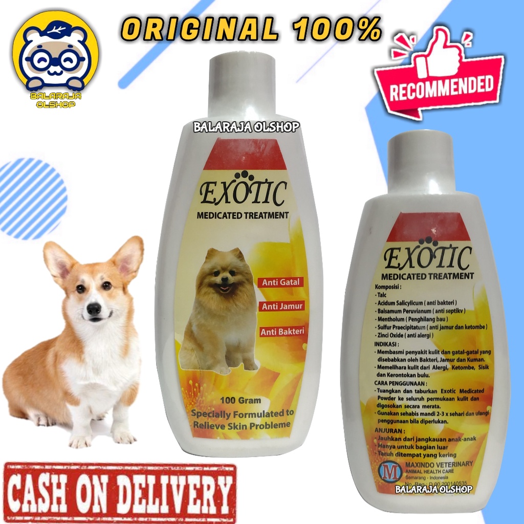 Bedak Jamur Anjing Anti Gatal Bakteri Puppy Exotic Medicated