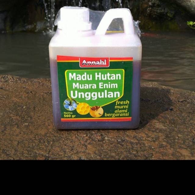 

Madu bermanfaat