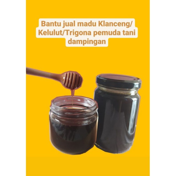 

Madu Trigona (300gr) 100% Asli