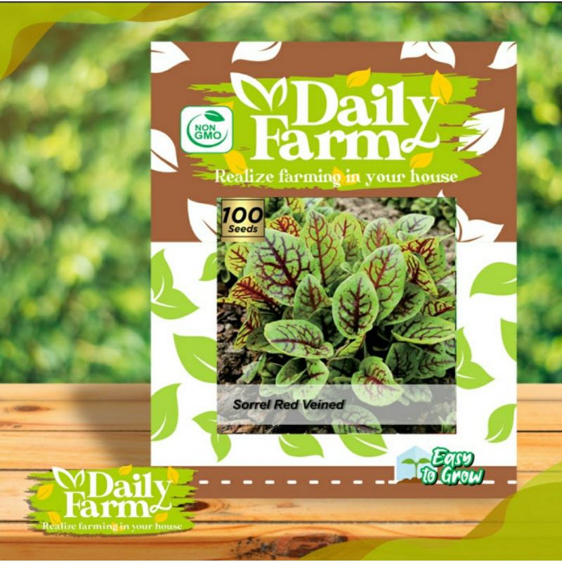 Benih - Bibit Sorrel Red Veined - Daily Farm