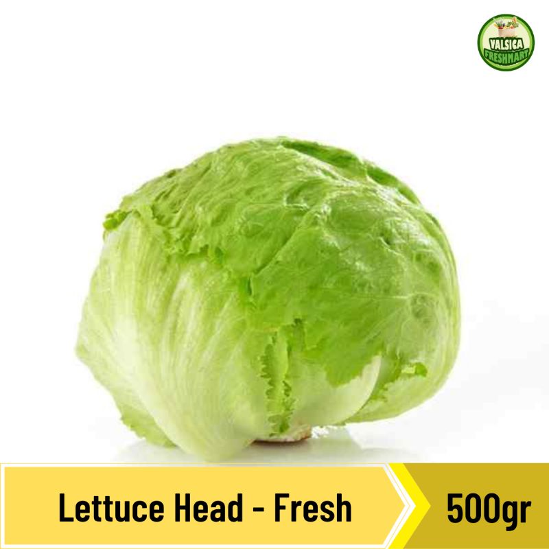 

Head Lettuce Organik