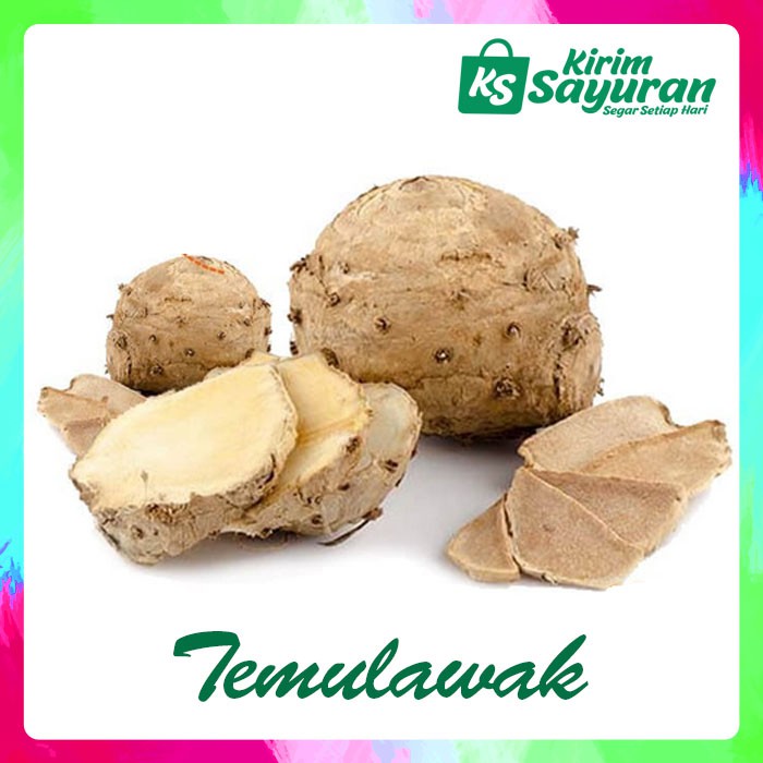 

TEMULAWAK / 250 GR