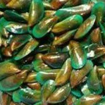 

Kerang Hijau 1 Kg