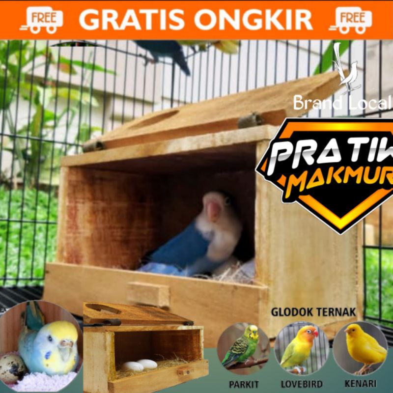 Glodok Burung Parkit