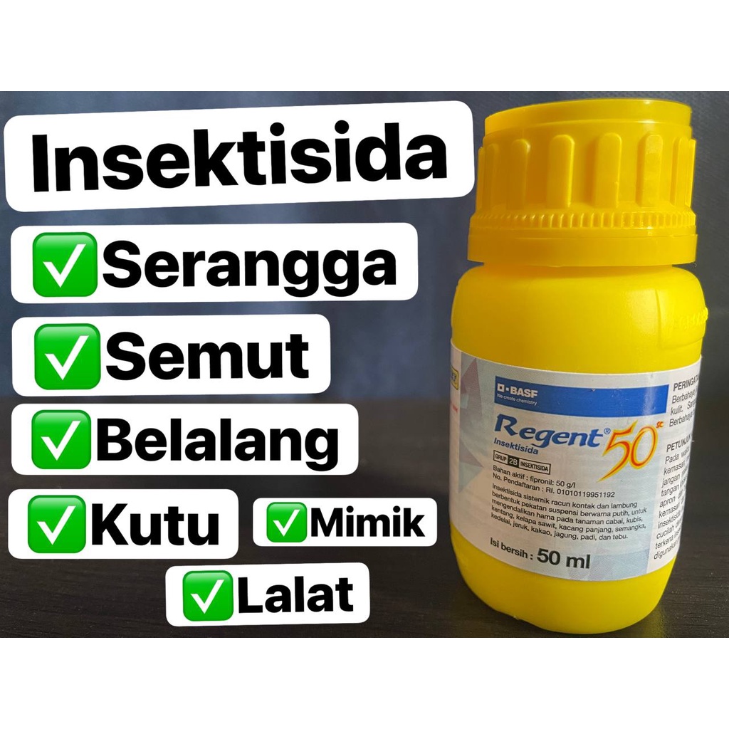 Jual Regent Racun Semut Obat Hama Rayap Serangga Insektisida Tanaman Shopee Indonesia