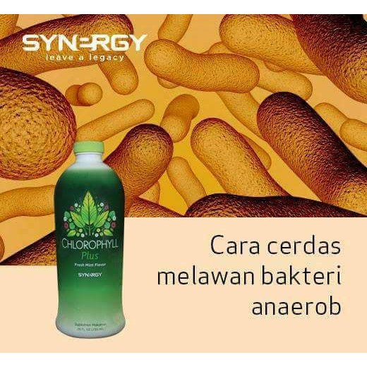 Cara Mengobati Dompo Pada Leher - Dunia Herbal