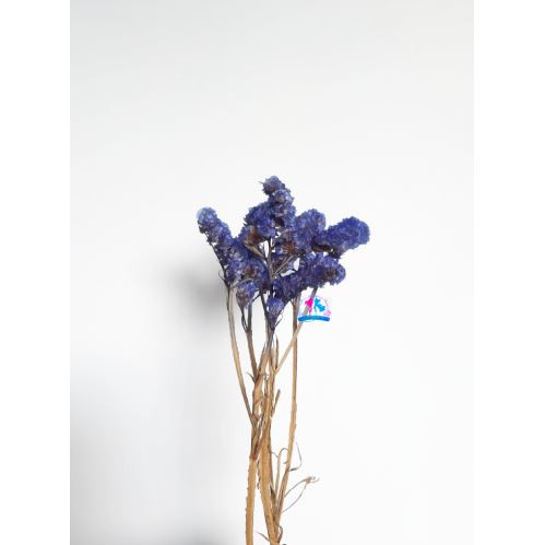 Bunga Kering Statice Biru | Dried Flower | Bunga Kering Biru Tua | Blue Statice
