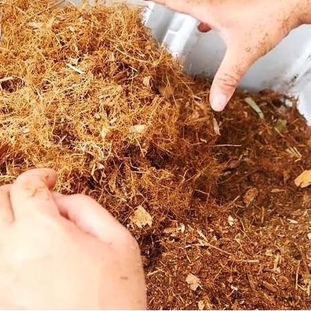 ♦ Pupuk Kompos Bambu Pilihan 15 Liter Trichoderma dan PGPR Alami ★