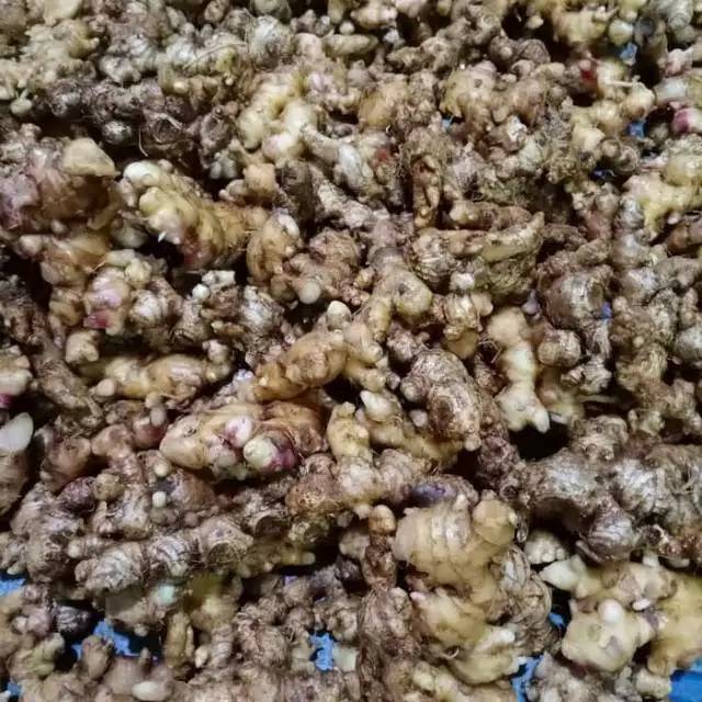

Paket jahe emprit kering / 5kg/5000grm
