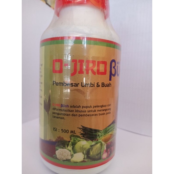 O JIRO BUAH perangsang bunga, buah dan umbi