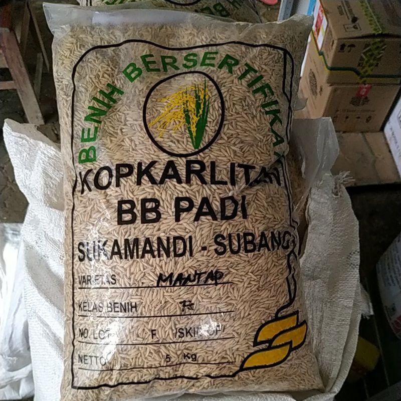 Bibit Padi unggul  MANTAP FS  5kg